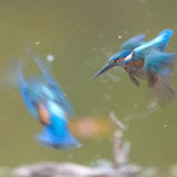 美容護(hù)膚步驟的先后順序全